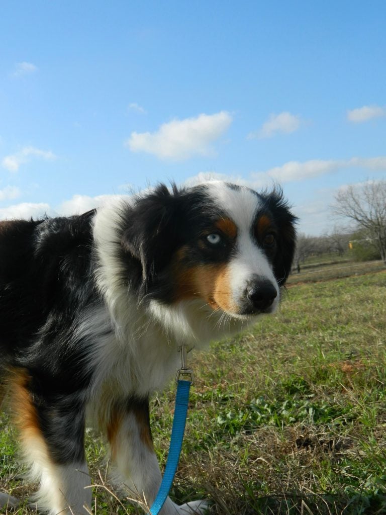 Timblerline's Karma Is A Biatch @SLA