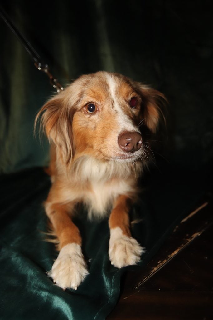 Rebel Reserve's Magnolia Mae
